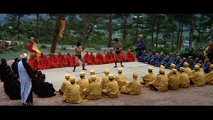 Godfrey Ho saw this and must've had a revelation. "I know! Multi-colored ninjas! Brilliant!" Godfrey Ho saw this and must've had a revelation. "I know! Multi-colored ninjas! Brilliant!"